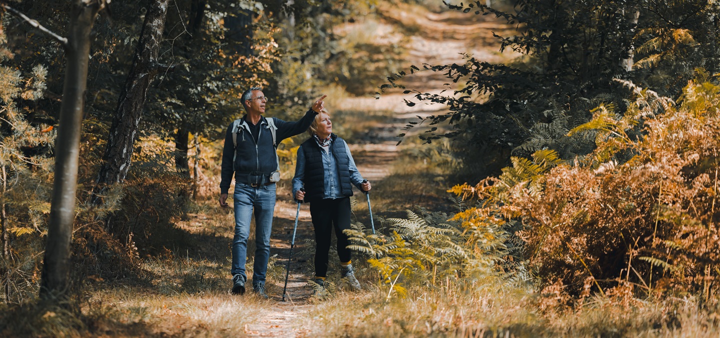 Twee wandelaars met wandelstokken lopen over een bospad tussen goudbruine varens, een sfeervol decor voor herfstwandelingen in Hart van Limburg.