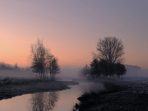 Een kronkelende waterloop met weerspiegelende bomen en mist boven het landschap in Nationaal Park De Peel, onder een roze ochtendlucht.