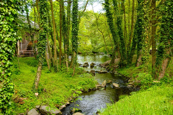 De Brempter Mühle in het natuurgebied Grenspark Maas-Swalm-Nette