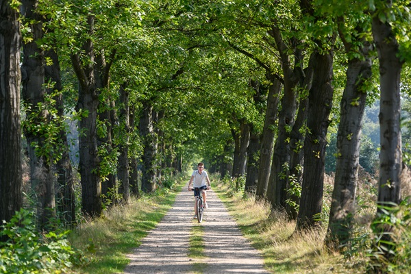 Junger Mann fährt mit seinem E-Bike eine Landstraße entlang
